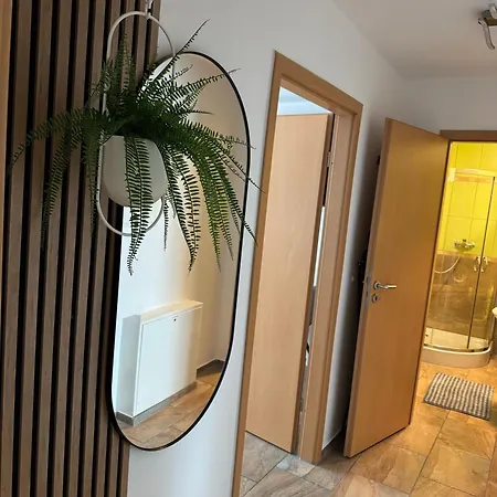 Zentraler Moment アパート *