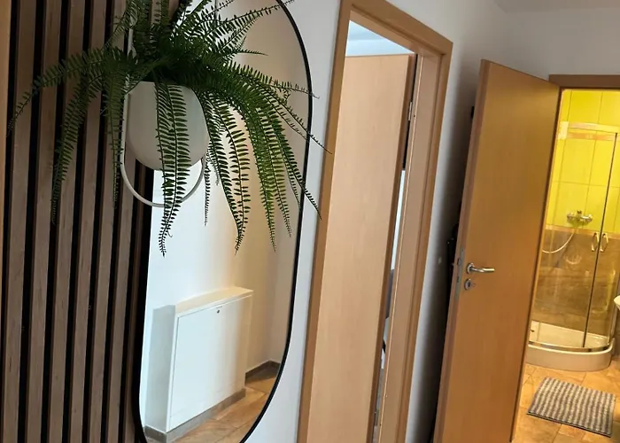 Zentraler Moment Daire *